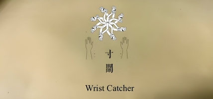 Wrist Catcher-寸关 (2025) - A TCM Horror Adventure?